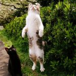 9266860-image-crop-640x826-1548069861-728-e4b3b575d0-1548231676