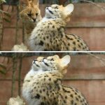 9278710-dufhjcjynmb21-1548066752-728-642e62af5b-1548239572