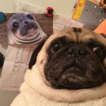 9279360-4bf3EQa-1547821431-728-ef1f62d41f-1548239572