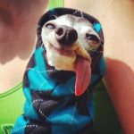 9279460-CLpqv7E-1547821547-728-99e6c7f6fd-1548239572