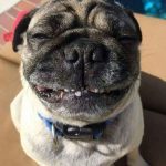 9280410-image-crop-500x580-1548156290-728-e0bd66928b-1548239572