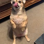 9280460-image-crop-640x731-1548156270-728-e302b1722a-1548239572