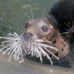 9280610-image-crop-715x631-1548156214-728-7670573141-1548239572