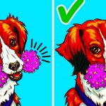 10 Maneiras de manter seu cachorro entretido enquanto você está fora de casa-capa