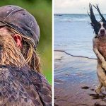 22 fotos de animais que foram tiradas no momento perfeito-capa