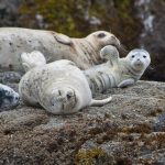 257399_10150197502113951_285435_o