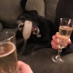 9227210-3aahqv4zv5921-1547041870-728-51ac6b9234-1548633310