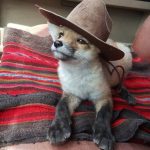 9227360-5s83lx81ts721-0508549001546384002-728-c83262b045-1548633310