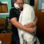 9227410-tpsaff2eeu7211-1547045836-728-92b49b1601-1548633310