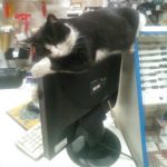 9227760-image-crop-700x719-1547046952-728-7fa8a0d19d-1548633310