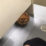 9227860-image-crop-640x604-1547046001-728-a82e342f63-1548633310