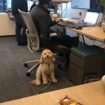 9227910-image-crop-640x665-1547049894-728-ec3b912436-1548633310