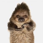 9417610-image-crop-1012x930-1548248163-728-f5eda7c72e-1548680375