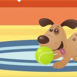 9701410-Mascota1-1548266194-728-5b730f1bac-1549747958