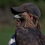 9807560-preview13-0332899001548683684-728-7e46361405-1549540808