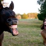 9807660-lJw6W-1549358849-728-7f074a09aa-1549540808