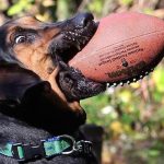 9808010-QoShszvEYWd4y2PsAofR7d1nLYXjZ7qgD7YD2a4Jqm0-1549297180-728-0b7b291b14-1549540808