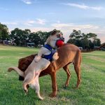 9809060-image-crop-840x831-1549452297-728-1350bd0187-1549540808