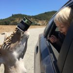 9809110-image-crop-640x679-1549452485-728-e25be539a4-1549540808