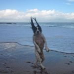 9809210-image-crop-716x720-1549452508-728-4936b4675f-1549540808