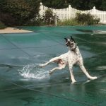 9809260-image-crop-699x629-1549452388-728-dbd48a186e-1549540808