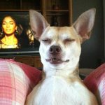 9809310-image-crop-500x496-1549452531-728-523941e72e-1549540808