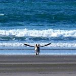 9809410-image-crop-421x389-1549452360-728-7b5c4c4fab-1549540808