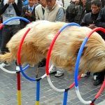 9809460-image-crop-476x365-1549452573-728-4d97a62aab-1549540808