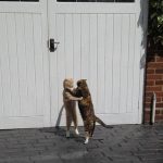 9809560-image-crop-386x363-1549452447-728-b0dd3fec2d-1549540808