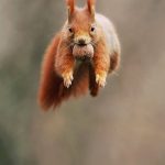 BdKWDi4hwsi-png__880