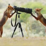 BiY3wj8huVA-png__880