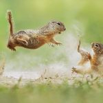 Bk4kaQ6B8e3-png__880