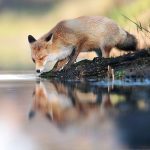 BprBCxAg-yj-png__880