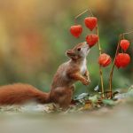 BquBgpPBN4V-png__880