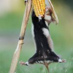 BrCvXPKh6nZ-png__880