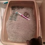 10552810-e2pMM5t-1551422466-728-1b4ecdddda-1551691148