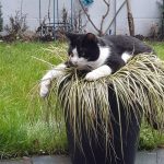 10553210-k4pcuuam40h211-1550560542-728-b277de1a93-1551691148