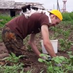 10554010-image-crop-655x595-1550668743-728-8dd93c7749-1551691148