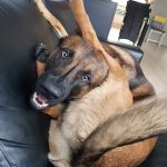 10652310-j18a0la3s4f21-1551788931-728-cbe8bfd9a5-1551970915