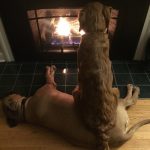 10652360-preview9-1551787014-728-c667628928-1551970915