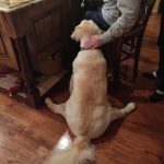 10652660-jjzbanggxsa21-1551788353-728-bc99e984da-1551970915