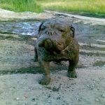 10652710-3Gv5b9G-1551788191-728-6f4a80df38-1551970915