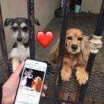 10652810-l9a90zf6wii21-1551788093-728-1ef07ceb9e-1551970915