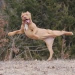 10652910-1vu5i2aemi411-1551788988-728-407a2cf0e6-1551970915