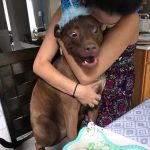 10652960-nyt515om9kdz-1551787696-728-8275a7b71b-1551970915