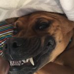 10653060-mr5mhgojd8d21-1551788631-728-7df9dc5e61-1551970915