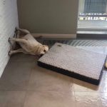 10653810-image-crop-400x404-1551788142-728-aa8b0c9a76-1551970915