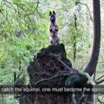 10653910-image-crop-640x554-1551788437-728-e50fb7fcf8-1551970915