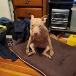 10653960-image-crop-640x566-1551788523-728-3f92516b26-1551970915