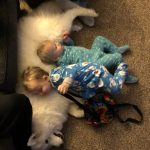 10896210-image-crop-1536x1697-1549026973-728-5a1f8b0628-1552817907